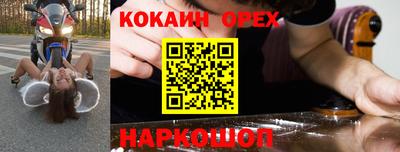 гашик Шебекино