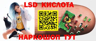 гашик Шебекино