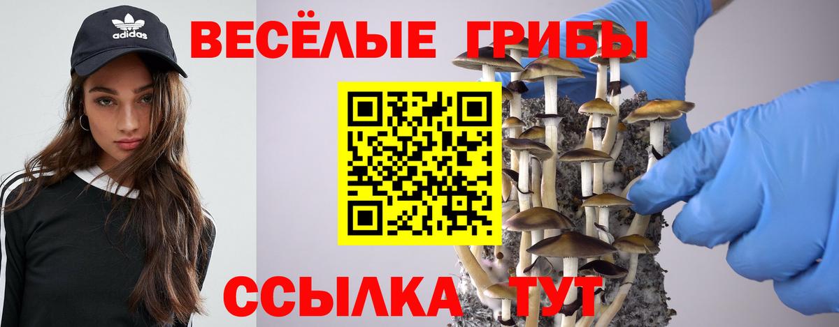 Псилоцибиновые грибы Magic Shrooms Аргун