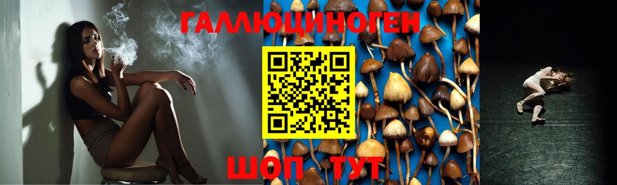 купить   Галлюциногенные грибы мухоморы  Вход с VPN  Аргун 
